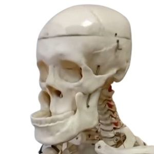 Meet your Posher, Jack